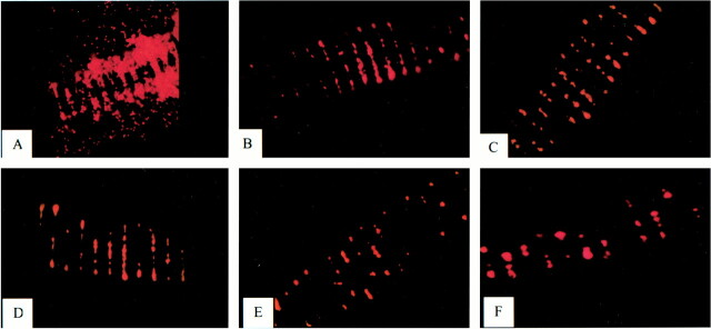 fig 10.