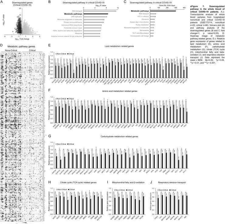 sFig. 7