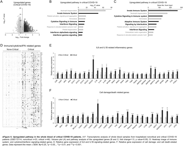 sFig. 6