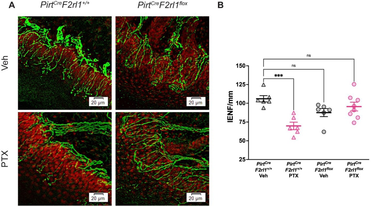 Figure 3: