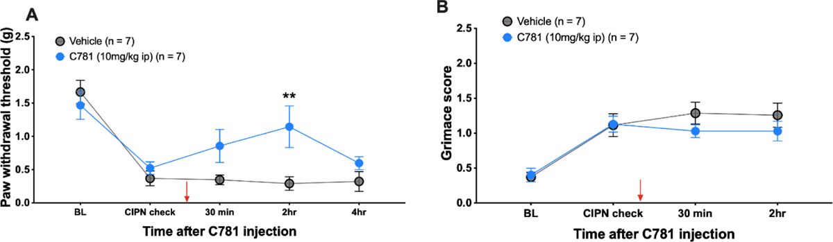 Figure 5: