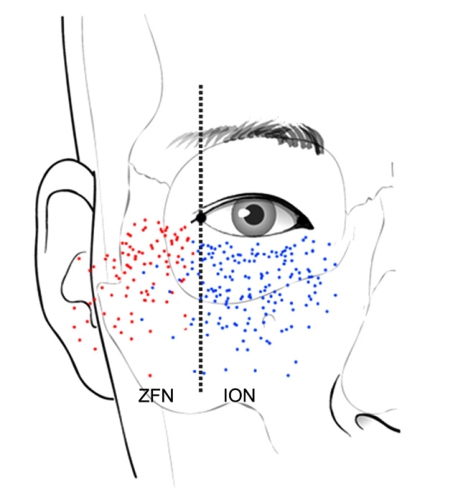 Fig. 5