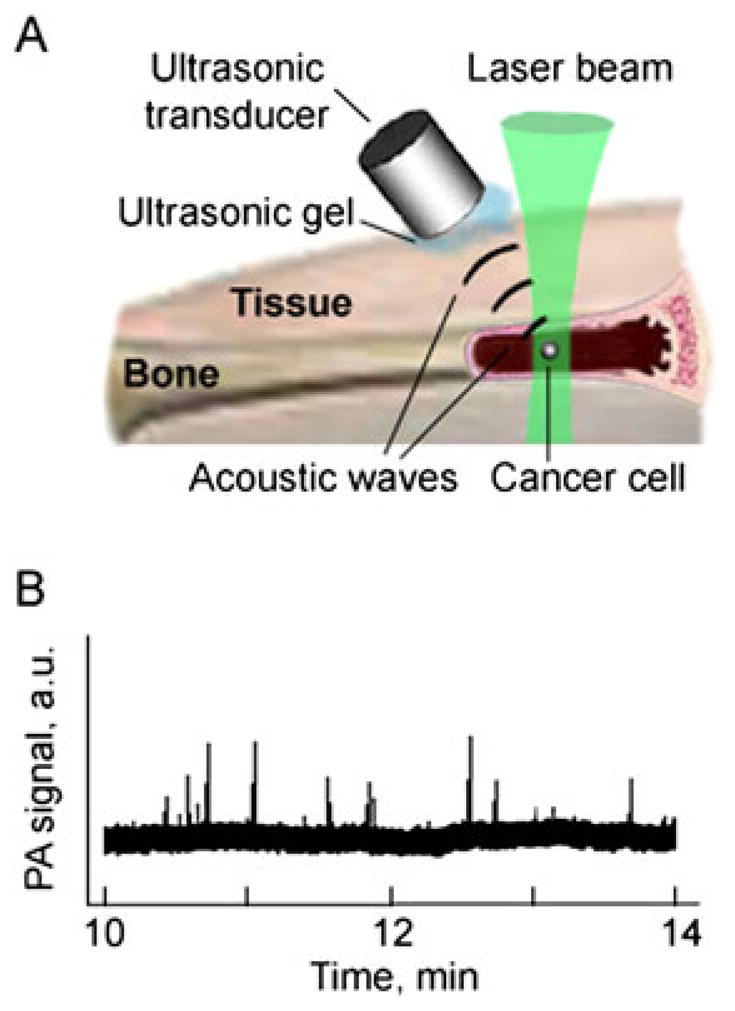 Figure 16