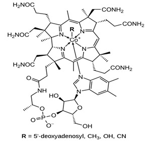 graphic file with name biology-11-00212-i004.jpg