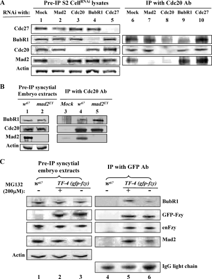 FIG. 7.