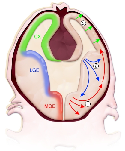 Fig. 3.