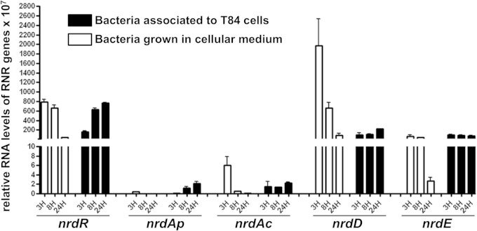 FIG 3