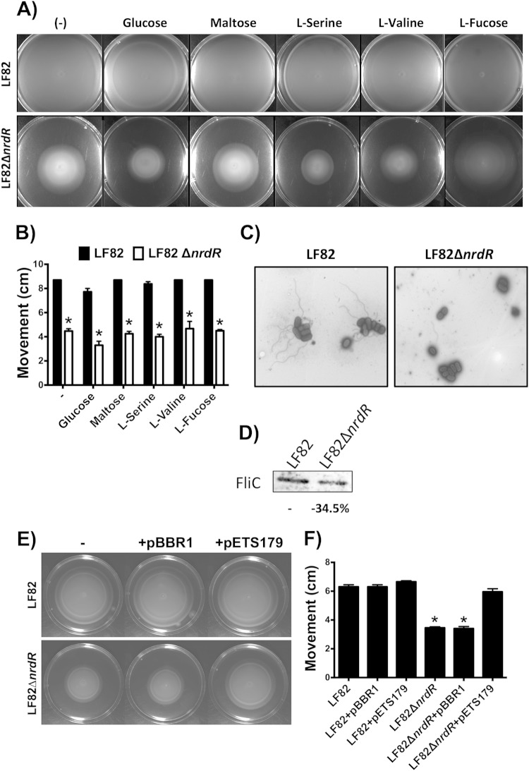 FIG 8