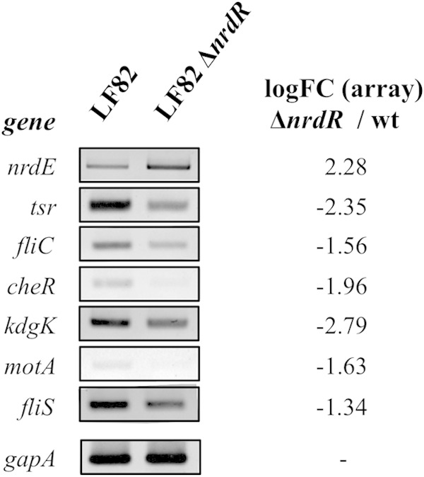 FIG 7