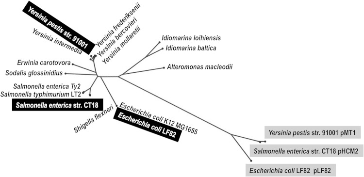 FIG 2