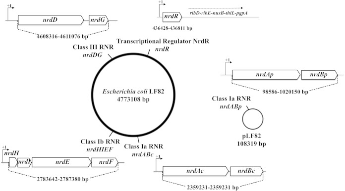 FIG 1