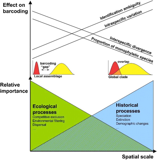 FIGURE 10.