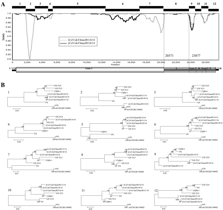 Fig. 3