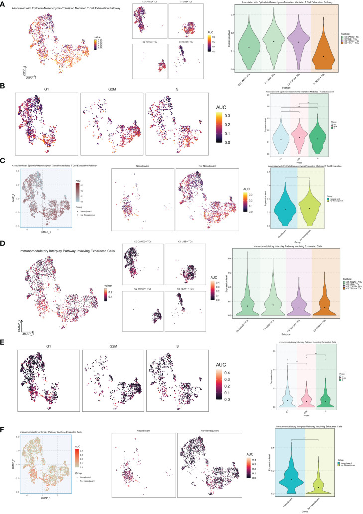 Figure 7