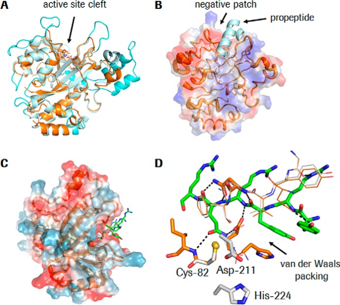 Figure 5.