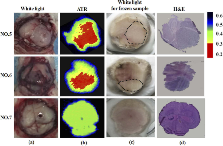 Fig. 6.