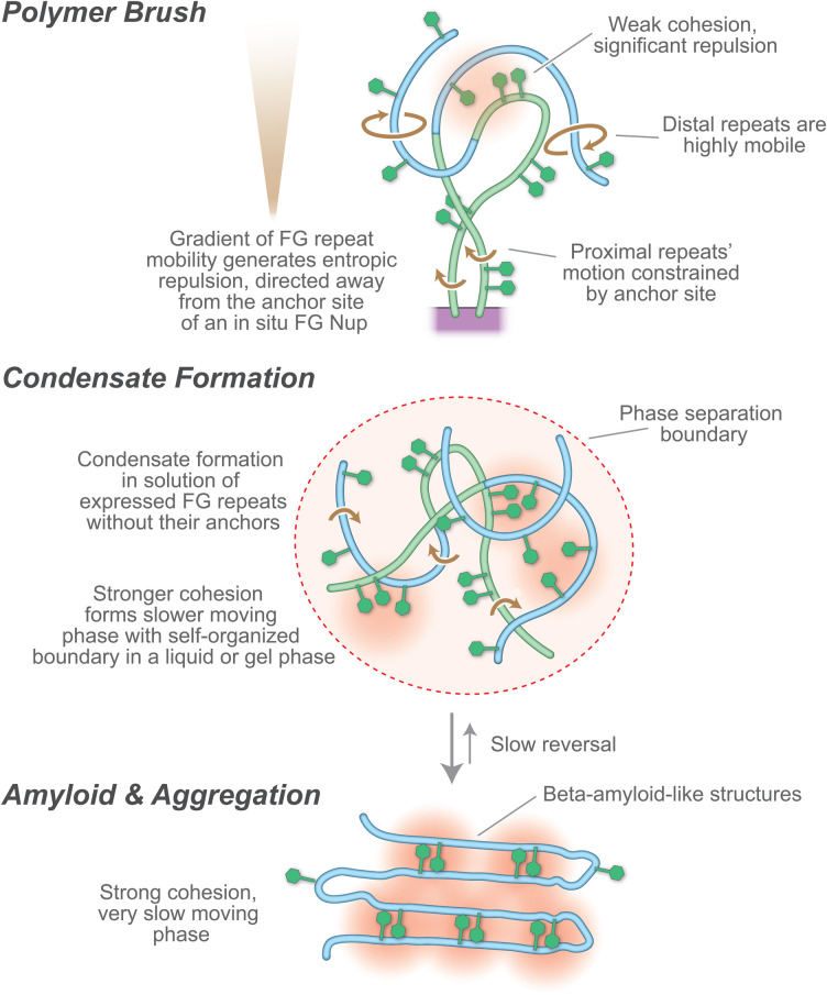 Figure 4.