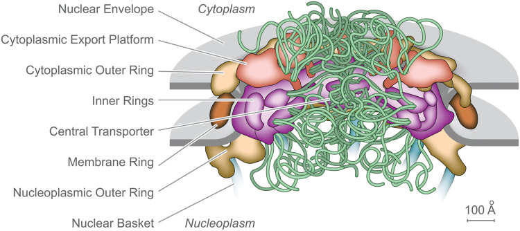 Figure 1.