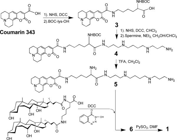 Scheme 2