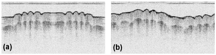 Fig. 7