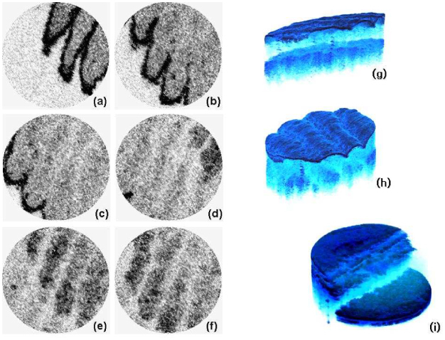 Fig. 8