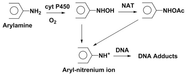 Scheme 4