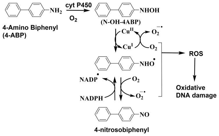 Scheme 5