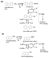 Scheme 6