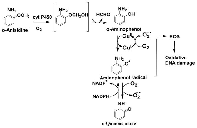 Scheme 7