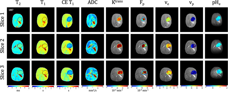 Figure 3