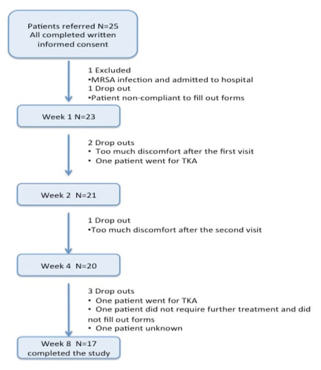 Figure 1)