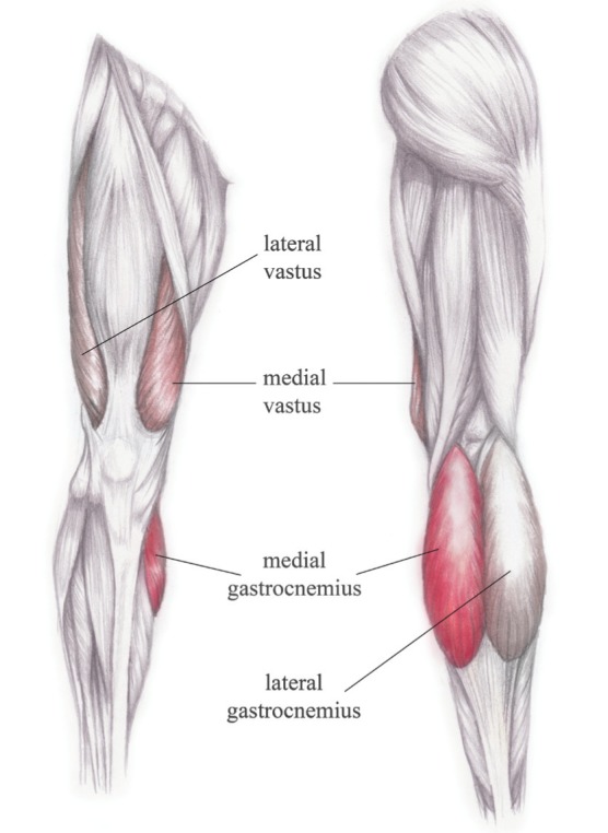 Figure 2)