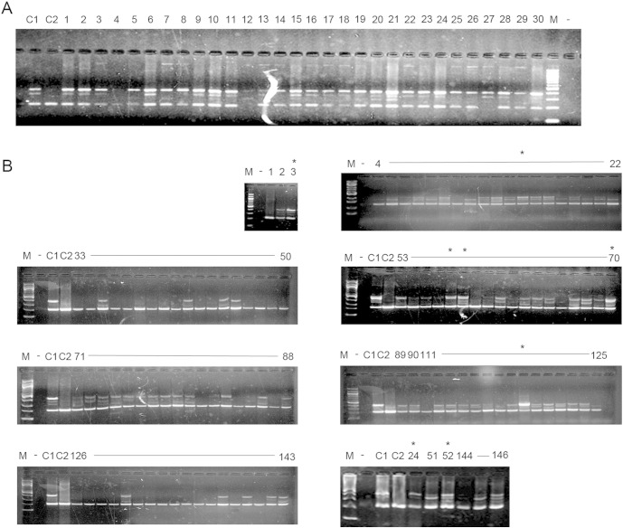 Supplementary Fig. 1