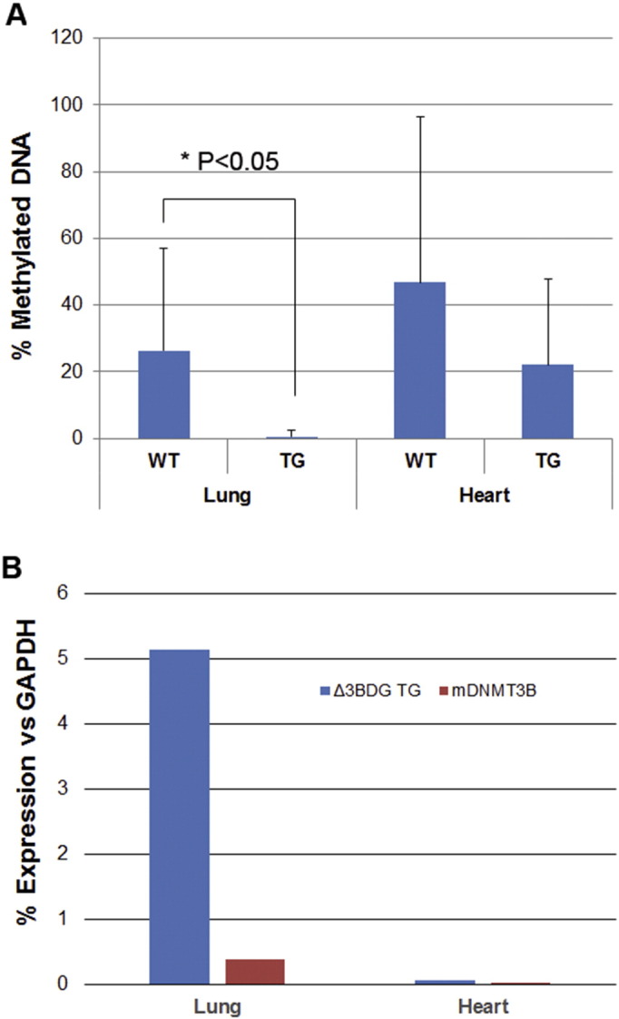 Supplementary Figure 4