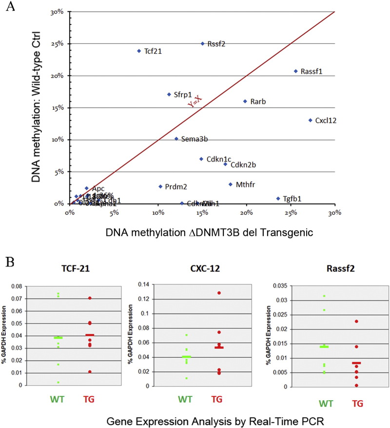 Supplementary Figure 5