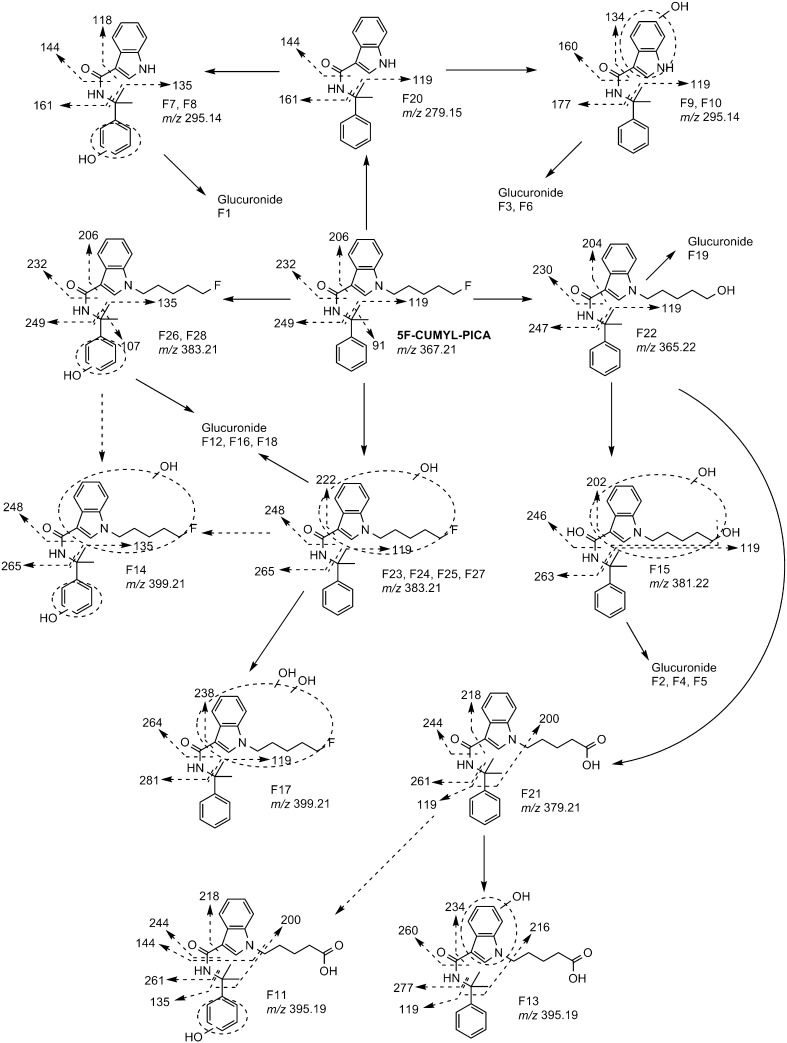 Fig. 6