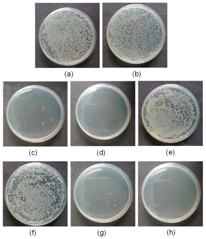 Figure 16