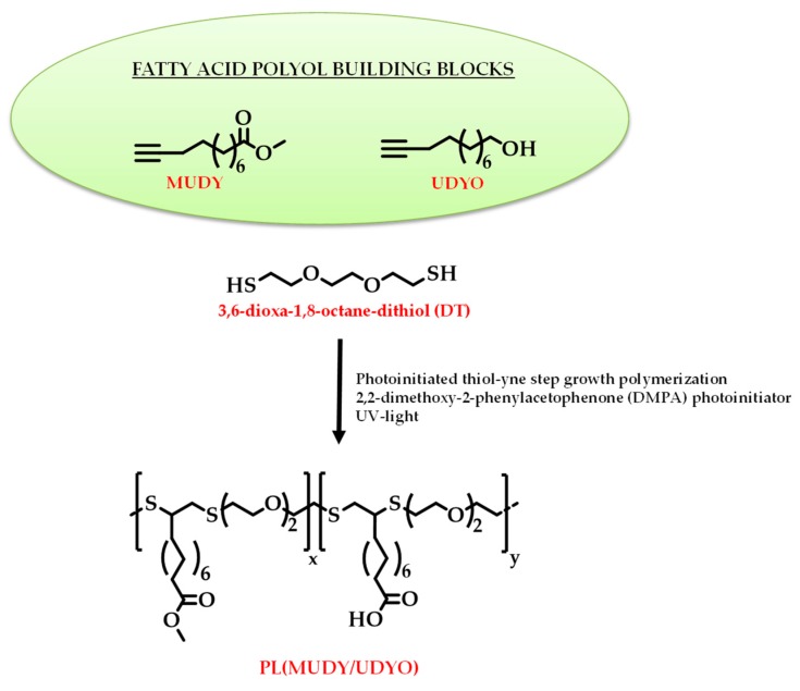 Figure 20