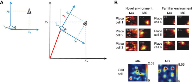 Fig. 6.