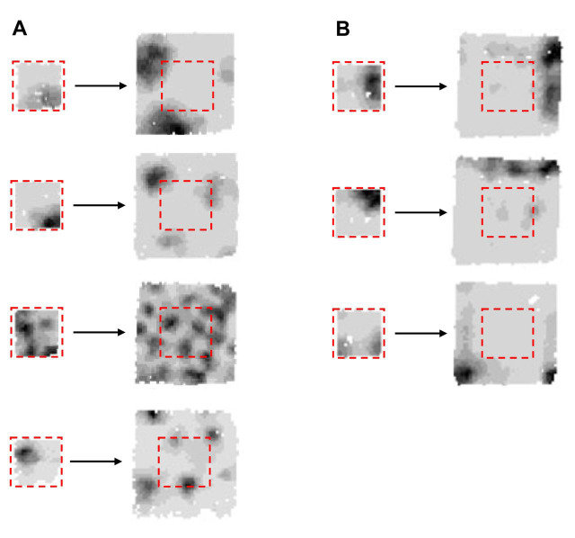 Fig. 3.