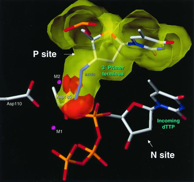 FIG. 3