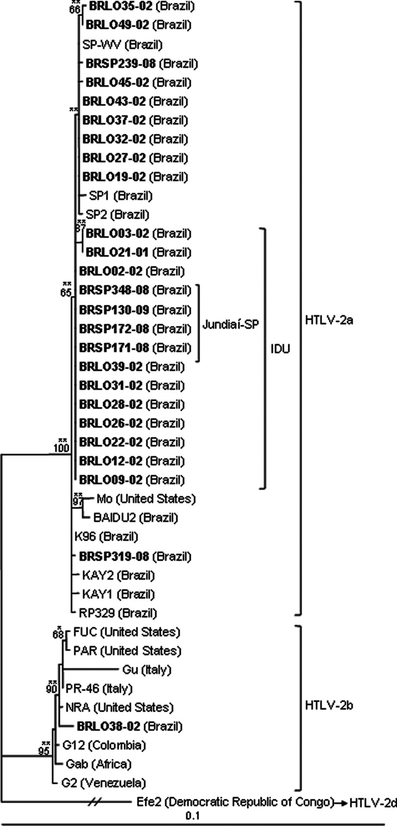 FIG. 5.