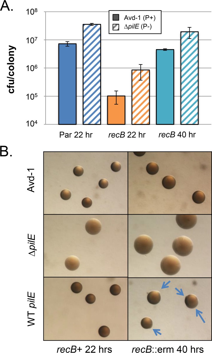 FIG 3