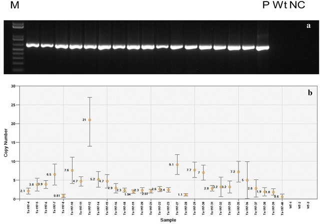 Fig. 3