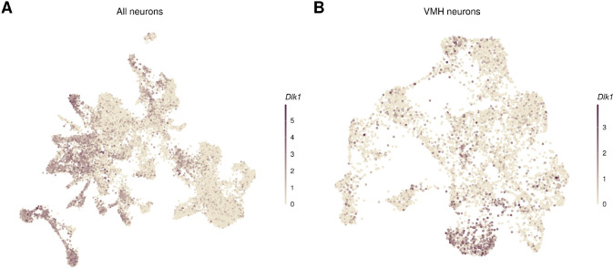 Figure 2—figure supplement 4.