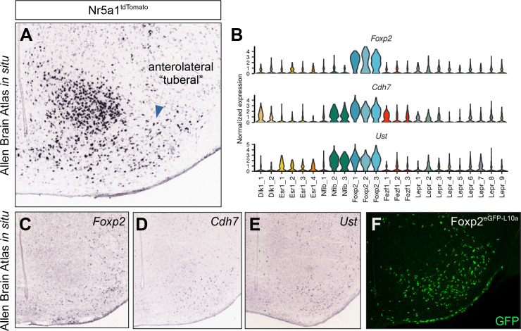 Figure 2—figure supplement 6.