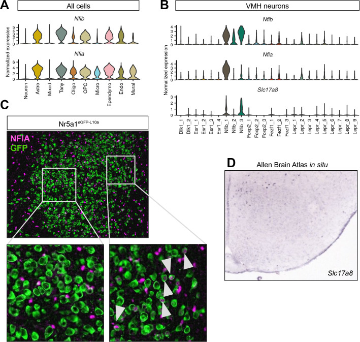 Figure 2—figure supplement 5.