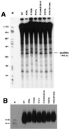 FIG. 6