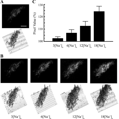 Fig. 4.