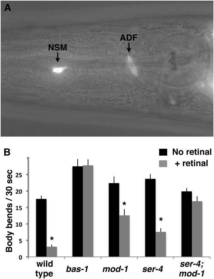 Figure 4 